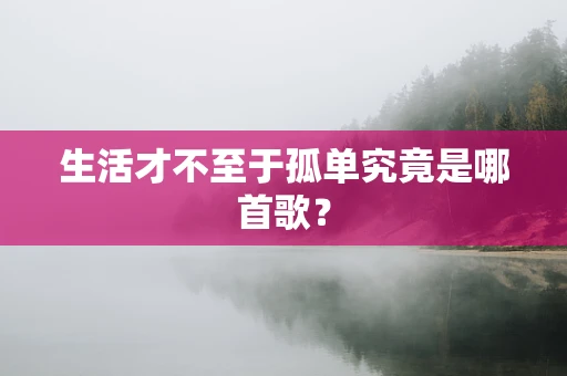 生活才不至于孤单究竟是哪首歌？