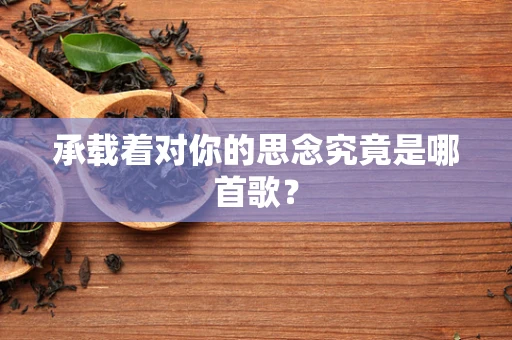 承载着对你的思念究竟是哪首歌？