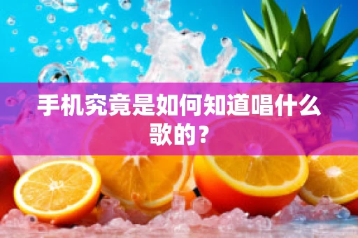 手机究竟是如何知道唱什么歌的？