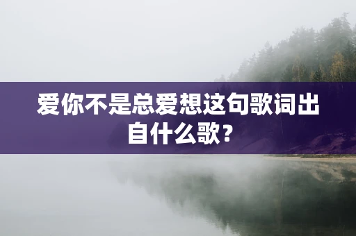 爱你不是总爱想这句歌词出自什么歌？